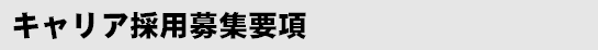 キャリア採用募集要項